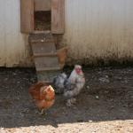 2017OTRA-1_354 (August 24, 2017)